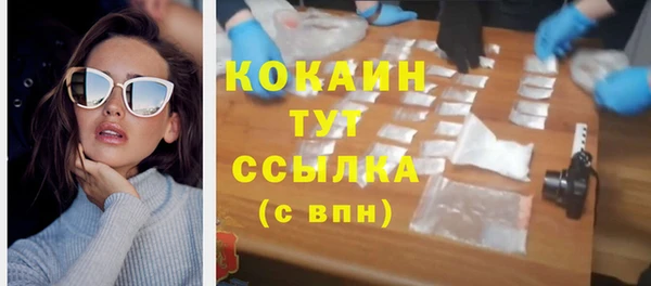 сатива Богданович