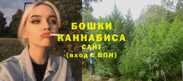 ALPHA PVP Богородицк
