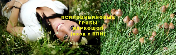 а пвп мука Богородск