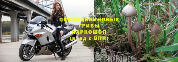 ALPHA PVP Богородицк