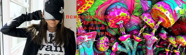 сатива Богданович