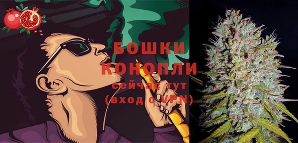 сатива Богданович