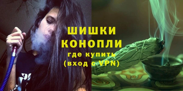 сатива Богданович