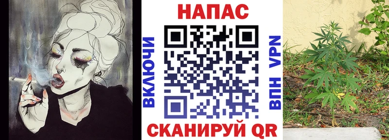 Каннабис OG Kush Новокузнецк